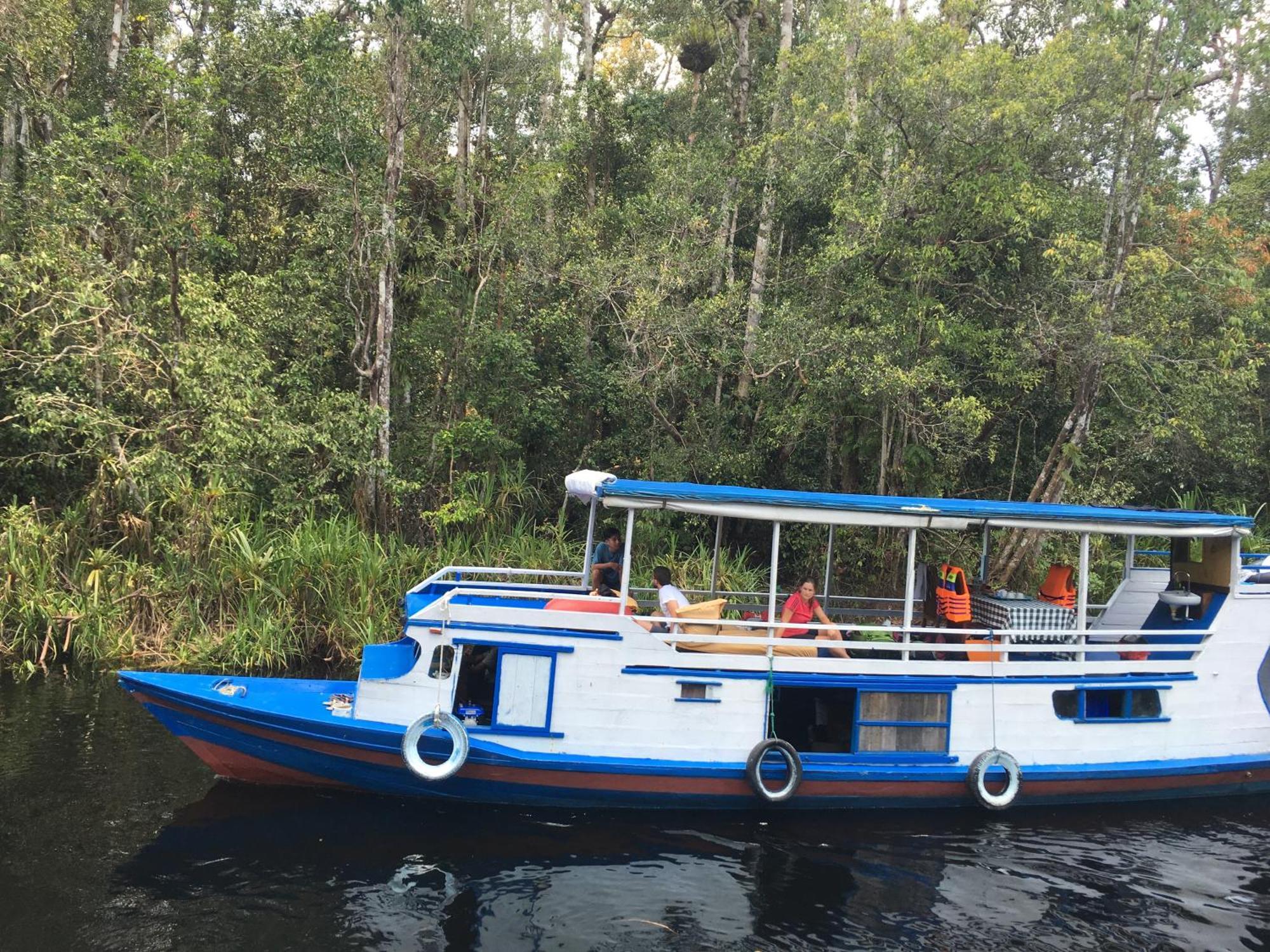 Orangutan Shaka Houseboat With Cabin Pangkalanbuun Exterior foto