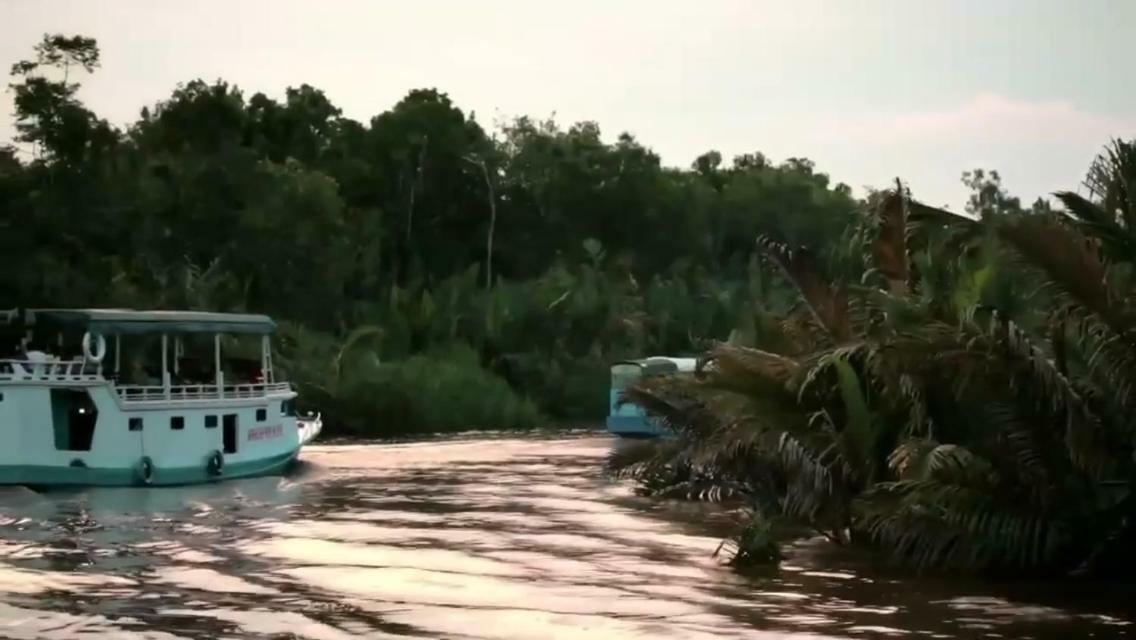 Orangutan Shaka Houseboat With Cabin Pangkalanbuun Exterior foto