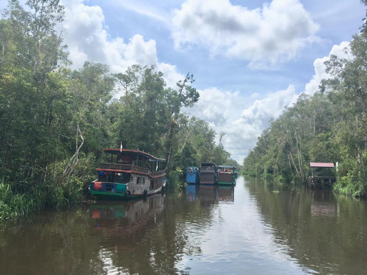 Orangutan Shaka Houseboat With Cabin Pangkalanbuun Exterior foto